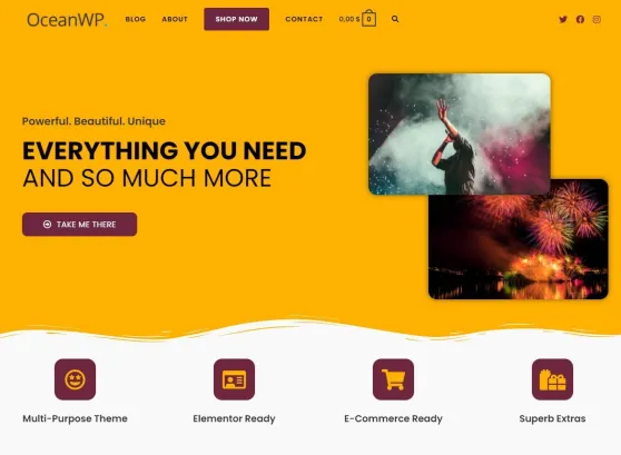 OceanWP Free Theme5 (1)